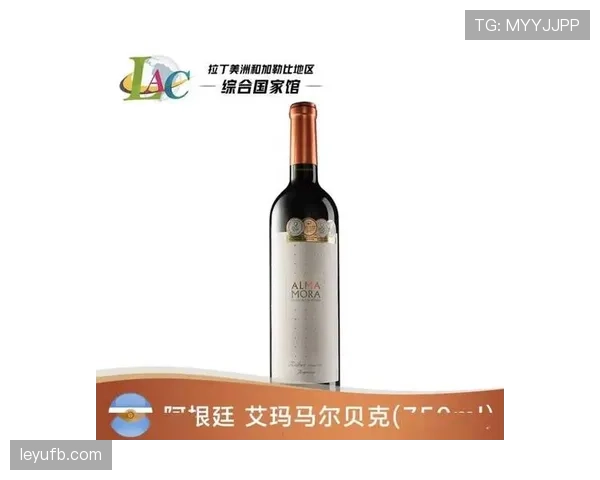 2026世界杯淘汰赛门票热度升温:热门场次受关注 2026世界杯淘汰赛门票热度升温:热门场次受关注